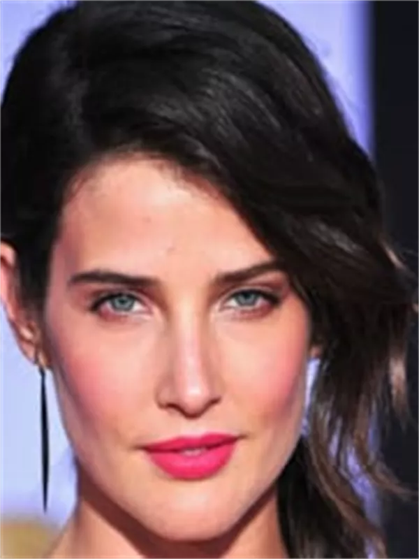Cobie Smulders