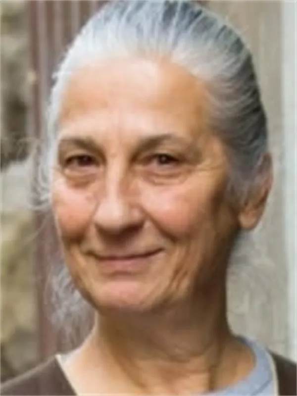 Yıldız Kültür