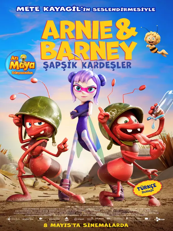 Arnie & Barney: Şapşik Kardeşler
